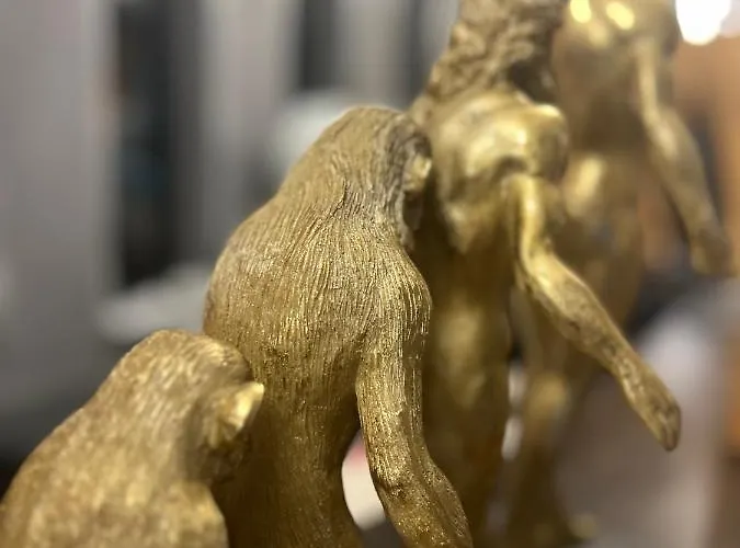 The Season